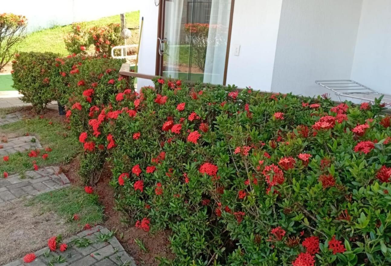 Flat Em Pipa - Brisas Do Amor Praia de Pipa Quarto foto
